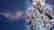 STAR OCEAN THE DIVINE FORCE